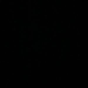 Meet your Posher, Carmen